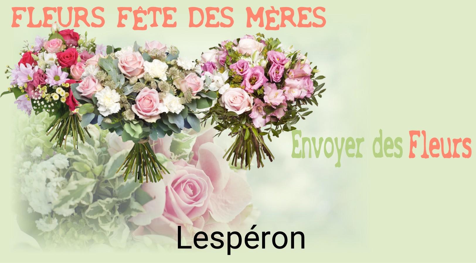 Bouquet de Fête des Mères livré à Lespéron